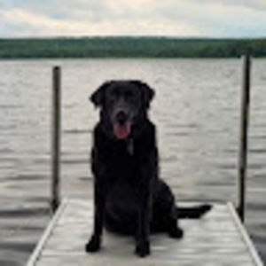 Meet your Posher, Denise